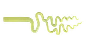 Lime Green