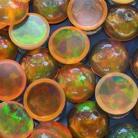 Orange Rounds